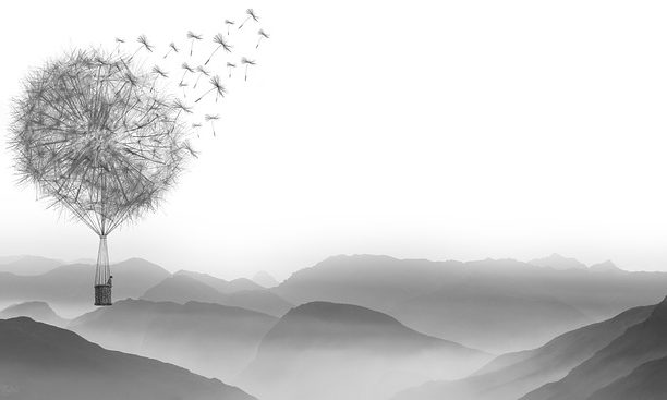 cropped-dandelion-1622100_640-1.jpg