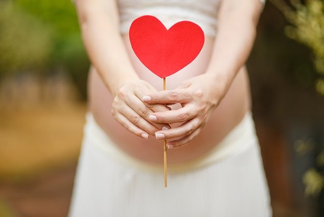 cropped-pregnant-woman-1910302_640.jpg